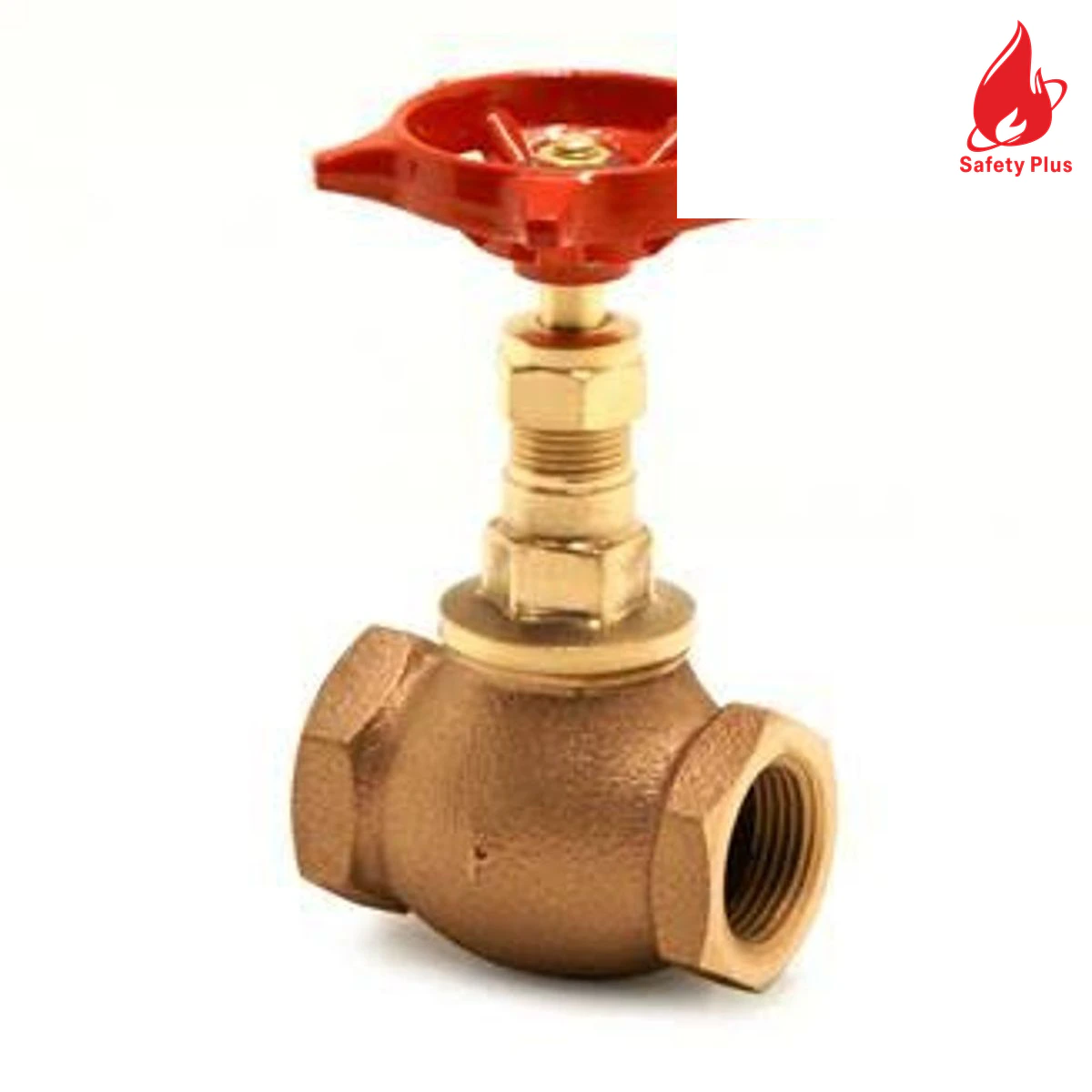 Globe Valve